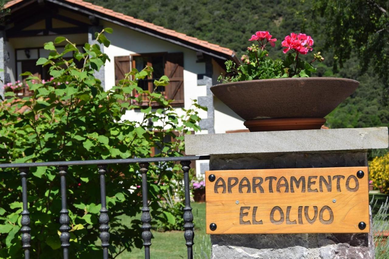 Excepcional Apartamento El Olivo Ojedo Exteriör bild